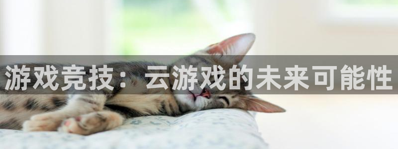 火博电竞官网入口