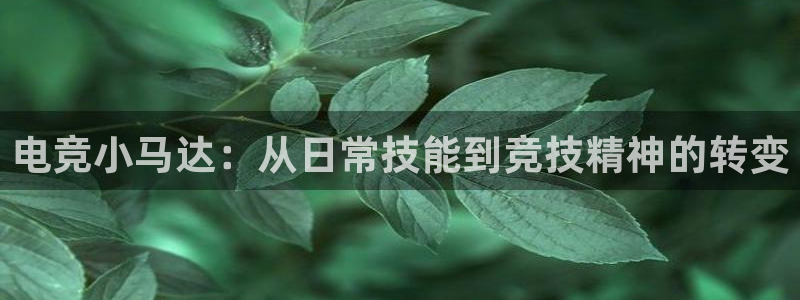 火博电竞官网入口：电竞小马达：从日常技能到竞技精神的转变