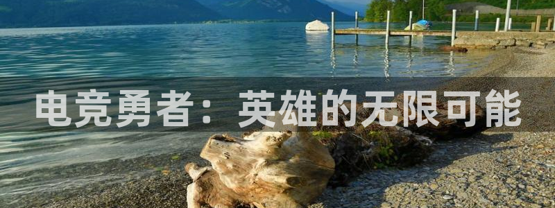 火博电竞网站：电竞勇者：英雄的无限可能