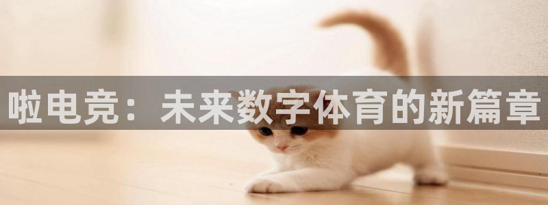 火博电竞app官网网站：啦电竞：未来数字体育的新篇章