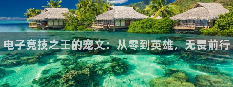 火博电竞app官网网站：电子竞技之王的宠文：从零到英雄，无畏前行