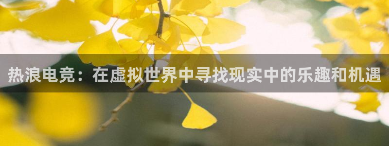 火博电竞app官网网站：热浪电竞：在虚拟世界中寻找现实中的乐趣和机遇