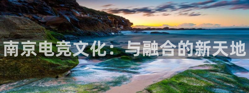 火博电竞官网入口：南京电竞文化：与融合的新天地
