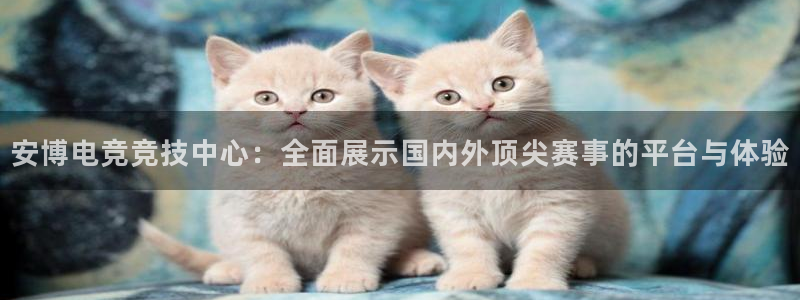 火博电竞网站