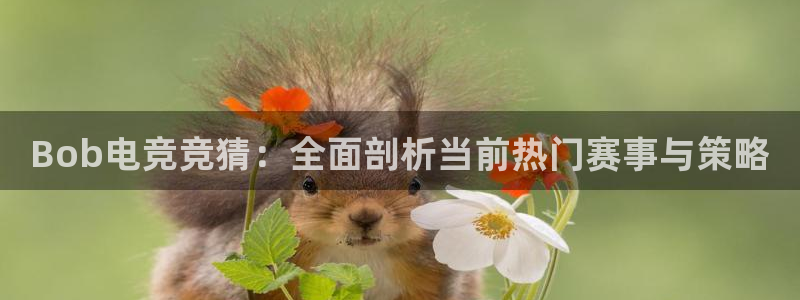 火博电竞官网入口