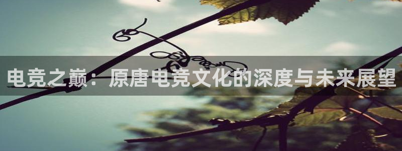 火博电竞