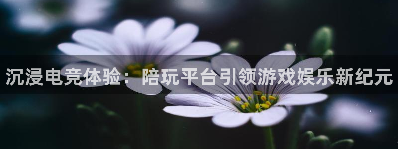 火博电竞app官网网站