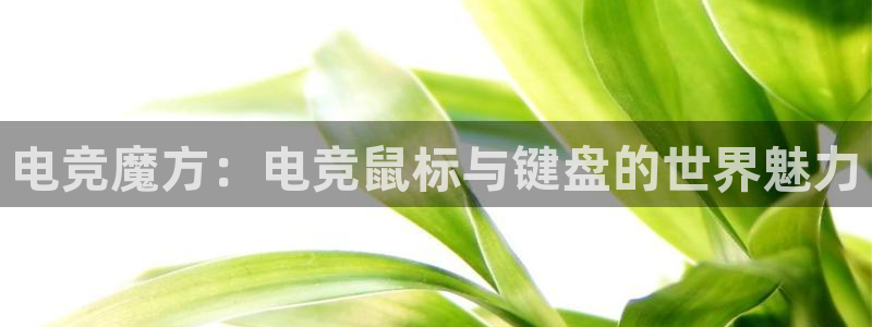 火博电竞网站