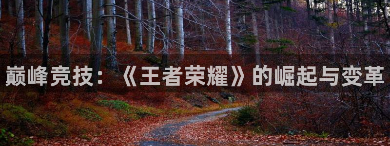 火博电竞