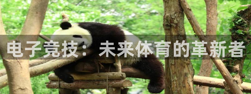 火博电竞网站