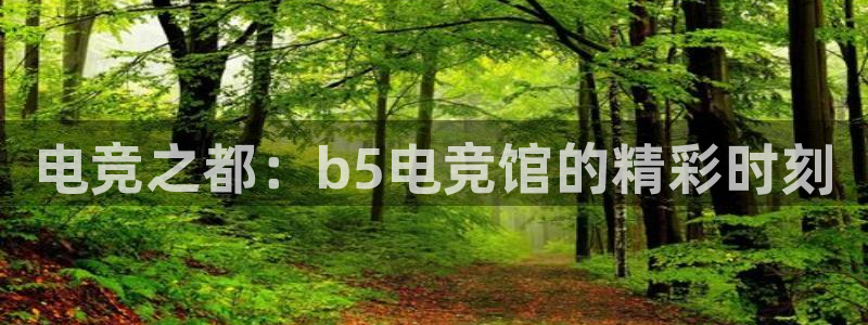 火博电竞网站
