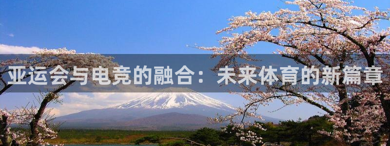 火博电竞网站