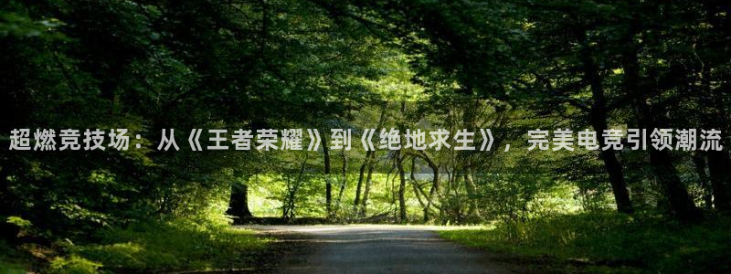 火博电竞app官网网站